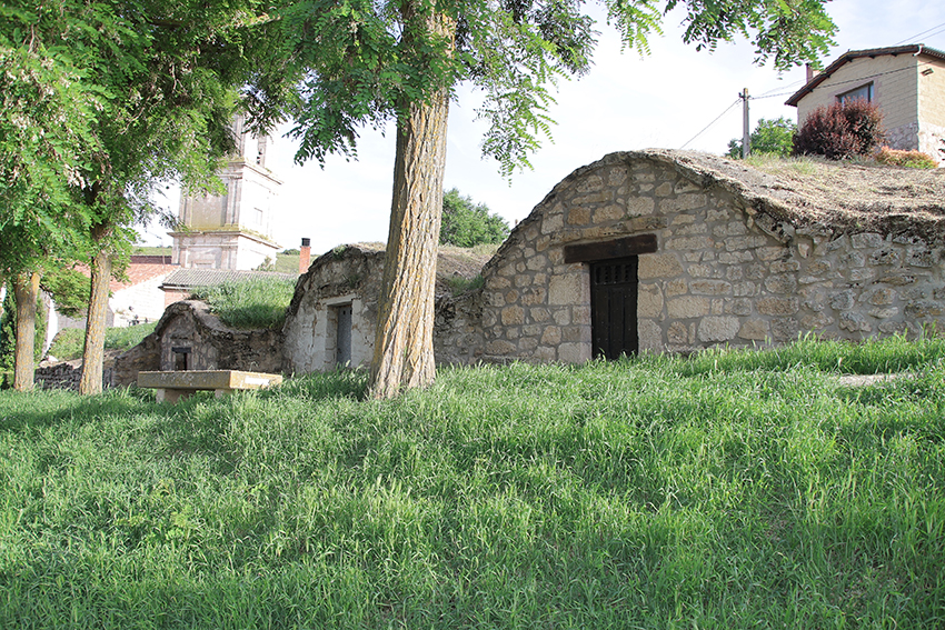 Imagen-de-las-bodegas