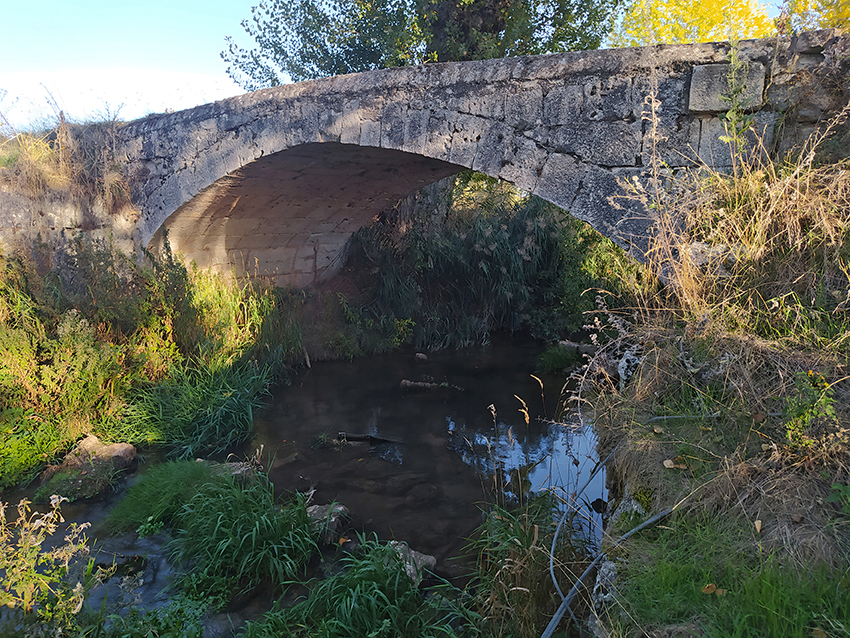 Uno-de-los-puentes-de-la-localidad